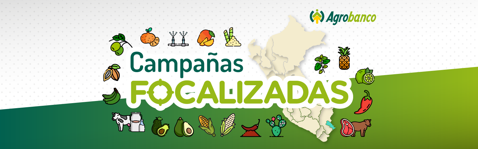 Campañas Focalizadas